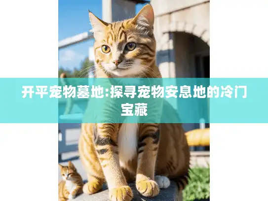 开平宠物墓地:探寻宠物安息地的冷门宝藏