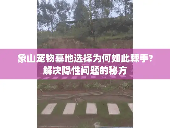 象山宠物墓地选择为何如此棘手?解决隐性问题的秘方