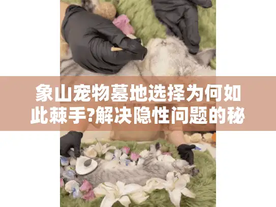 象山宠物墓地选择为何如此棘手?解决隐性问题的秘方