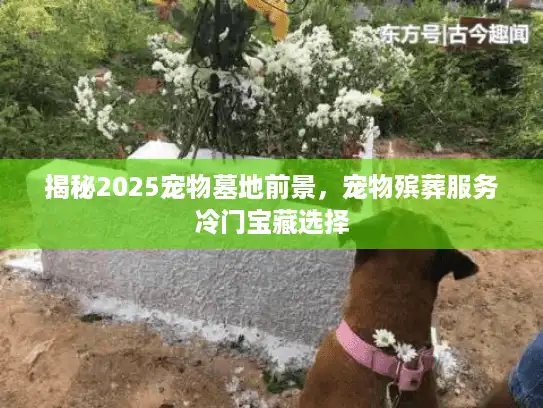 揭秘2025宠物墓地前景，宠物殡葬服务冷门宝藏选择