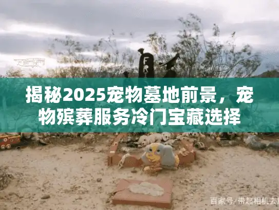 揭秘2025宠物墓地前景，宠物殡葬服务冷门宝藏选择