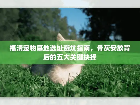 福清宠物墓地选址避坑指南，骨灰安放背后的五大关键抉择