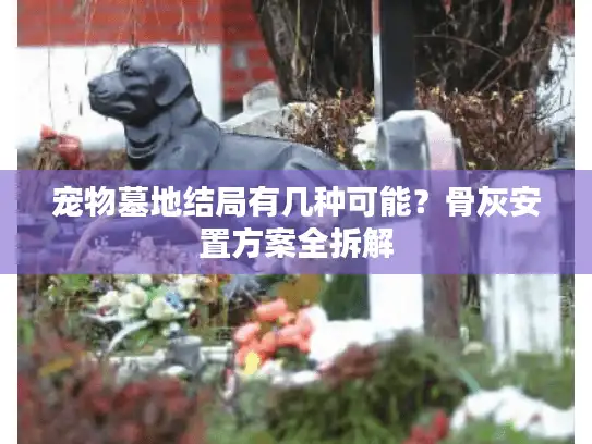 宠物墓地结局有几种可能？骨灰安置方案全拆解