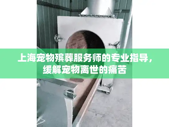 上海宠物殡葬服务师的专业指导，缓解宠物离世的痛苦