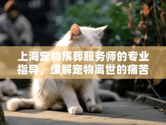 上海宠物殡葬服务师的专业指导，缓解宠物离世的痛苦