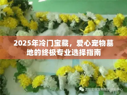 2025年冷门宝藏，爱心宠物墓地的终极专业选择指南