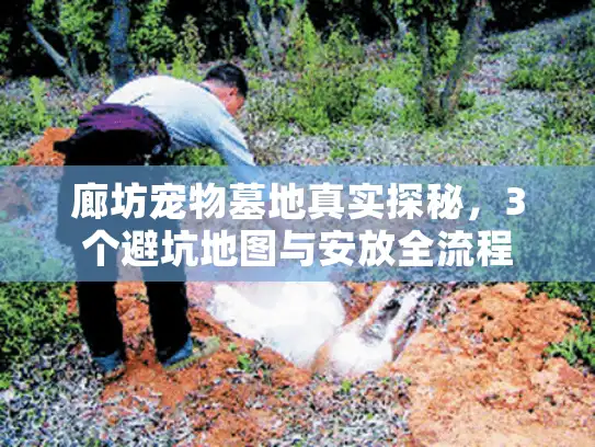 廊坊宠物墓地真实探秘，3个避坑地图与安放全流程