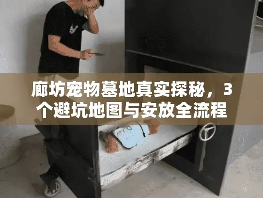 廊坊宠物墓地真实探秘，3个避坑地图与安放全流程