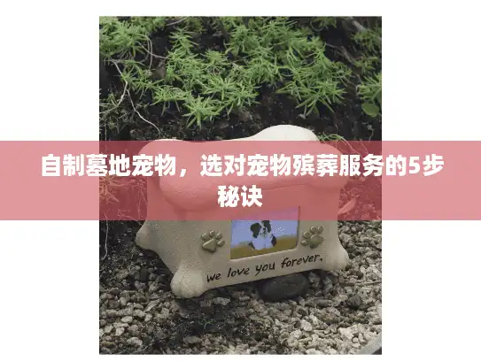 自制墓地宠物，选对宠物殡葬服务的5步秘诀