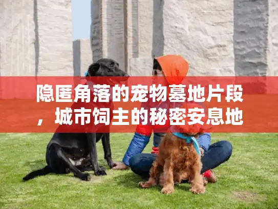 隐匿角落的宠物墓地片段，城市饲主的秘密安息地选择法