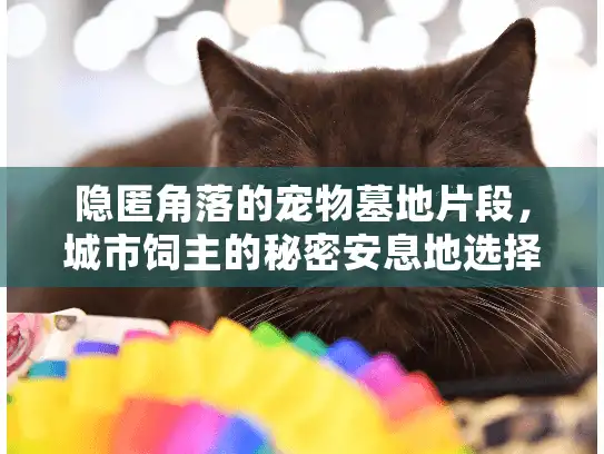 隐匿角落的宠物墓地片段，城市饲主的秘密安息地选择法