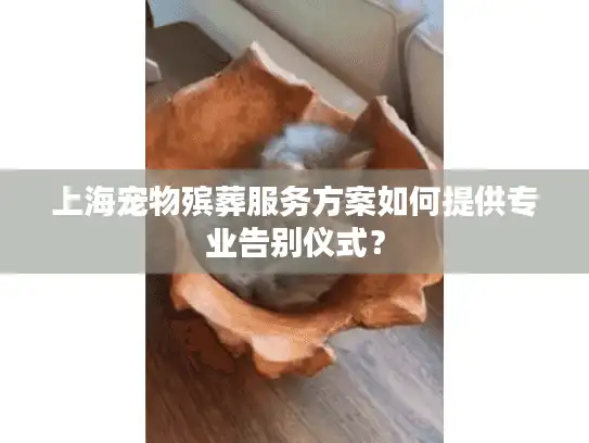上海宠物殡葬服务方案如何提供专业告别仪式？