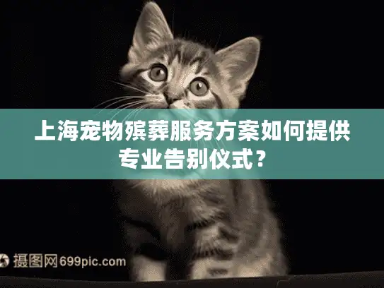 上海宠物殡葬服务方案如何提供专业告别仪式？