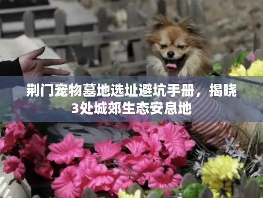 荆门宠物墓地选址避坑手册，揭晓3处城郊生态安息地
