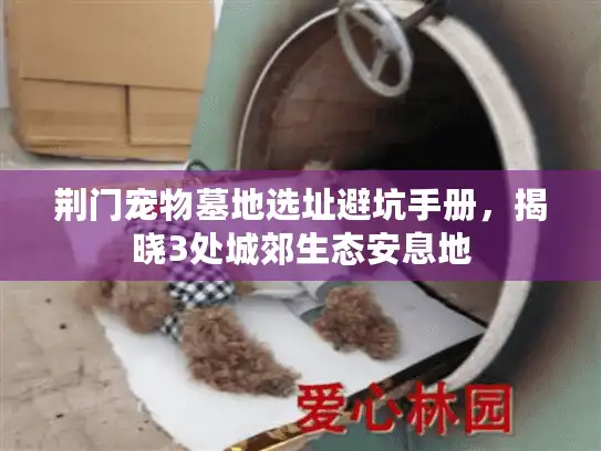 荆门宠物墓地选址避坑手册，揭晓3处城郊生态安息地