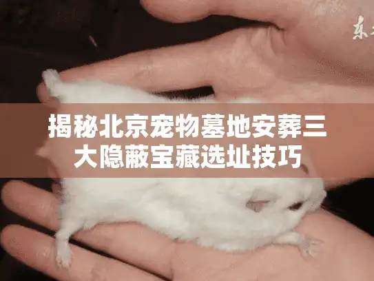 揭秘北京宠物墓地安葬三大隐蔽宝藏选址技巧