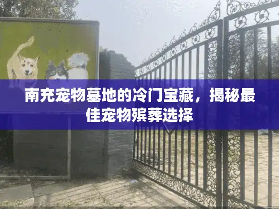 南充宠物墓地的冷门宝藏，揭秘最佳宠物殡葬选择