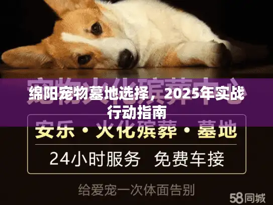 绵阳宠物墓地选择，2025年实战行动指南