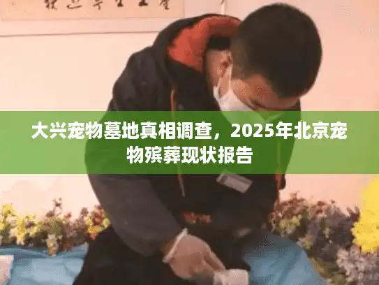 大兴宠物墓地真相调查，2025年北京宠物殡葬现状报告
