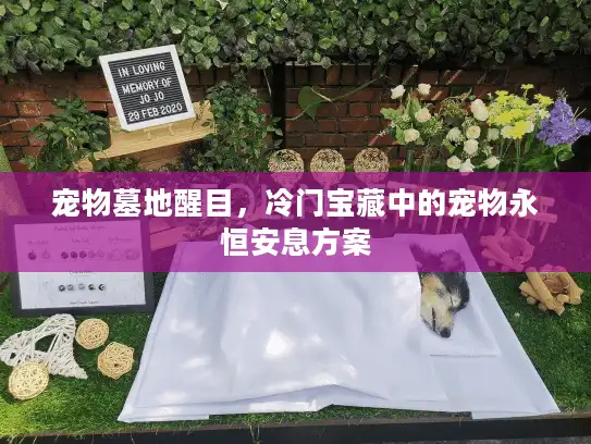 宠物墓地醒目，冷门宝藏中的宠物永恒安息方案