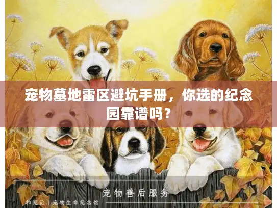 宠物墓地雷区避坑手册，你选的纪念园靠谱吗？