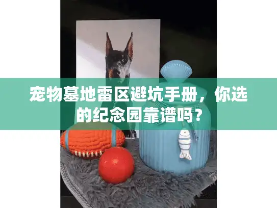宠物墓地雷区避坑手册，你选的纪念园靠谱吗？