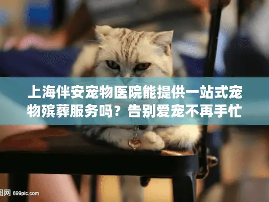 上海伴安宠物医院能提供一站式宠物殡葬服务吗？告别爱宠不再手忙脚乱