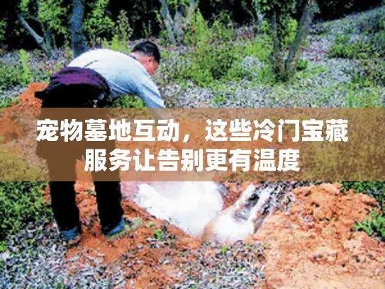 宠物墓地互动，这些冷门宝藏服务让告别更有温度
