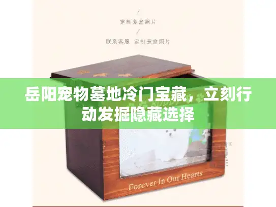 岳阳宠物墓地冷门宝藏，立刻行动发掘隐藏选择