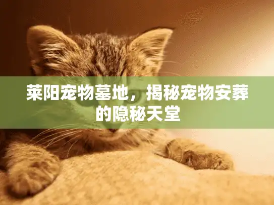 莱阳宠物墓地，揭秘宠物安葬的隐秘天堂