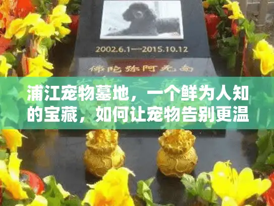 浦江宠物墓地，一个鲜为人知的宝藏，如何让宠物告别更温馨