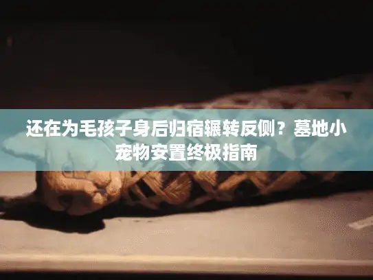 还在为毛孩子身后归宿辗转反侧？墓地小宠物安置终极指南