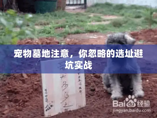 宠物墓地注意，你忽略的选址避坑实战
