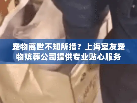 宠物离世不知所措？上海室友宠物殡葬公司提供专业贴心服务