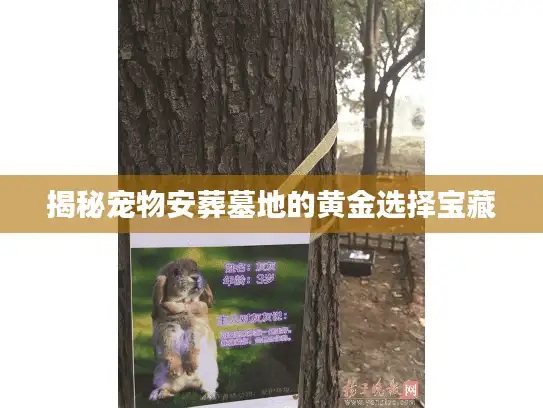 揭秘宠物安葬墓地的黄金选择宝藏