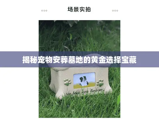 揭秘宠物安葬墓地的黄金选择宝藏