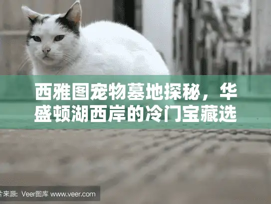 西雅图宠物墓地探秘，华盛顿湖西岸的冷门宝藏选项