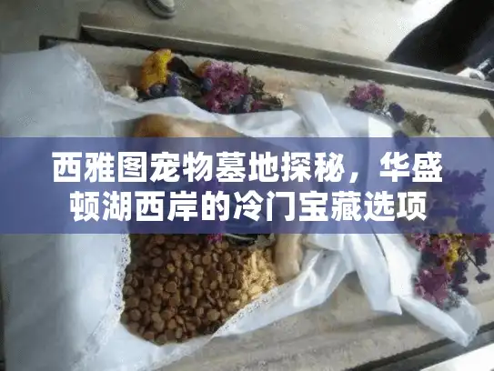 西雅图宠物墓地探秘，华盛顿湖西岸的冷门宝藏选项