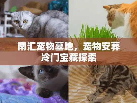 南汇宠物墓地，宠物安葬冷门宝藏探索