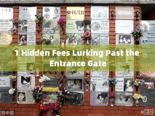 1 Hidden Fees Lurking Past the Entrance Gate