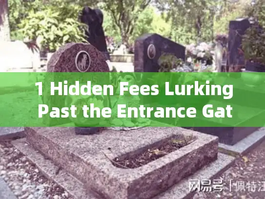1 Hidden Fees Lurking Past the Entrance Gate