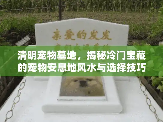 清明宠物墓地，揭秘冷门宝藏的宠物安息地风水与选择技巧
