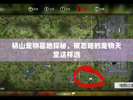 砀山宠物墓地探秘，被忽略的宠物天堂这样选