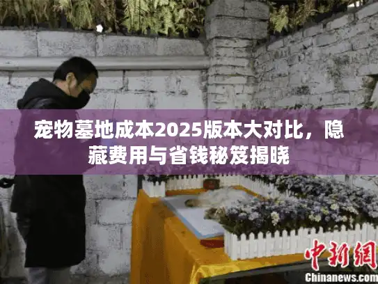 宠物墓地成本2025版本大对比，隐藏费用与省钱秘笈揭晓