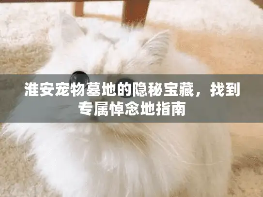 淮安宠物墓地的隐秘宝藏，找到专属悼念地指南
