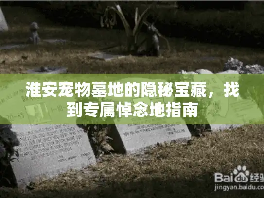 淮安宠物墓地的隐秘宝藏，找到专属悼念地指南