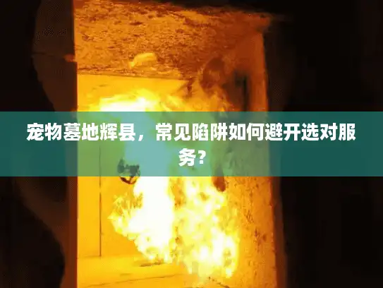 宠物墓地辉县，常见陷阱如何避开选对服务？