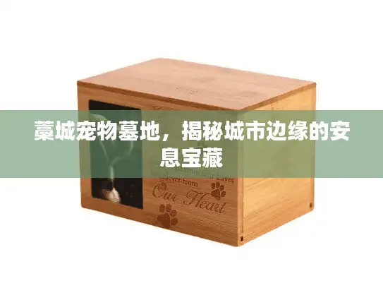 藁城宠物墓地，揭秘城市边缘的安息宝藏