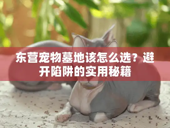 东营宠物墓地该怎么选？避开陷阱的实用秘籍