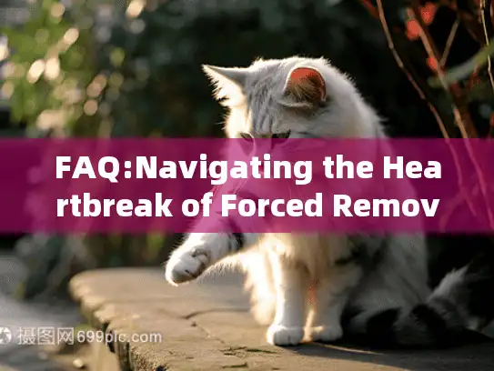 FAQ:Navigating the Heartbreak of Forced Removal